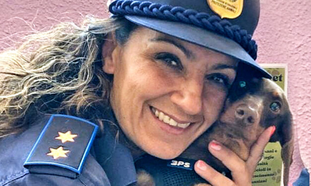 BASSOTTINA DI 10 MESI A RISCHIO DI MALTRATTAMENTO SALVATA DALL’INTERVENTO CONGIUNTO DELLE GUARDIE ZOOFILE OIPA DI COMO E DEI CARABINIERI FORESTALI